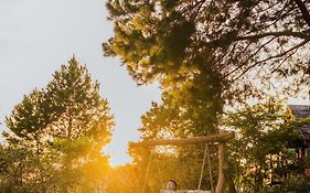 The Nordic Village - Evergreen Retreat